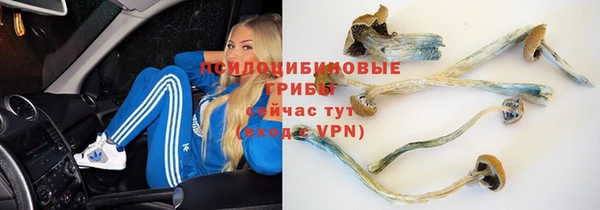 хмурый Богородицк