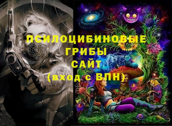 ешки Богородск