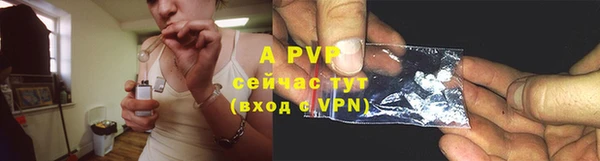 первитин Богданович