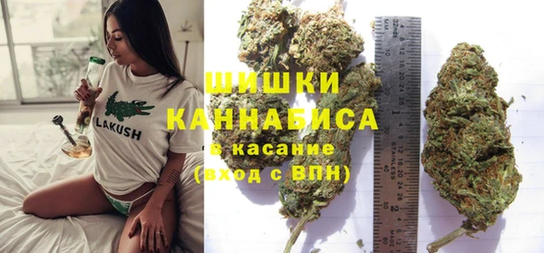 первитин Богданович