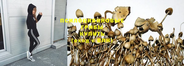 хмурый Богородицк