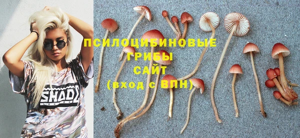 хмурый Богородицк