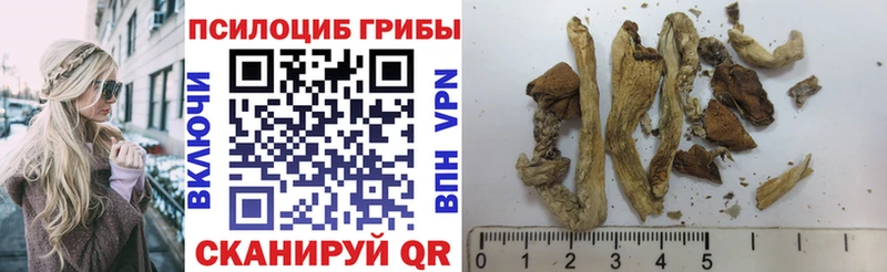 купить   kraken онион  Галлюциногенные грибы GOLDEN TEACHER  Богданович 