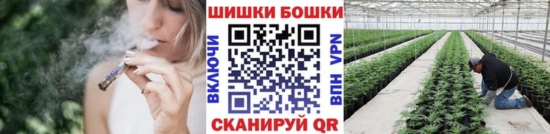 Марихуана Amnesia где купить Богданович